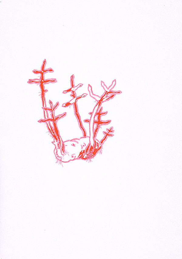 Svätopluk Mikyta – Správna odroda? III. 