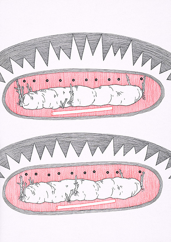 Svätopluk Mikyta – Dva dlhé divné zemiaky 