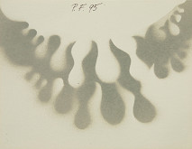 Drahomíra Beráková-Javorová – PF 1995 