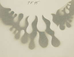 Drahomíra Beráková-Javorová – PF 1995 