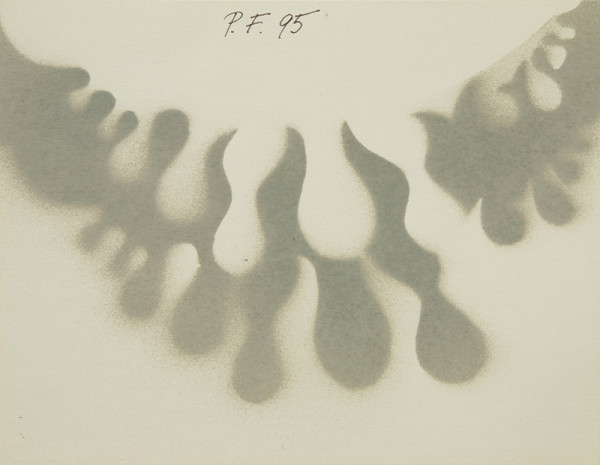 Drahomíra Beráková-Javorová – PF 1995 