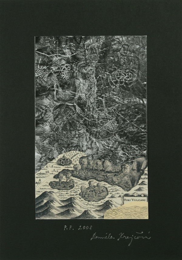 Daniela Krajčová – PF 2008 