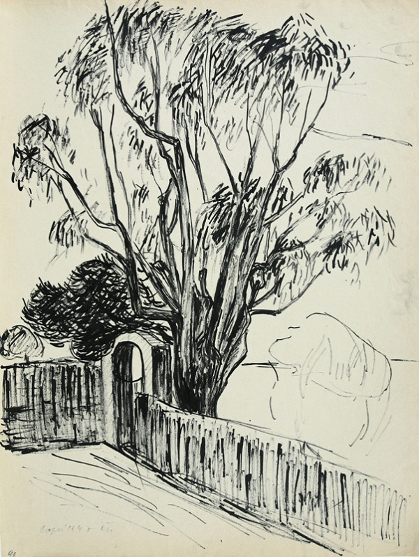 Matilda Čechová – Capri 