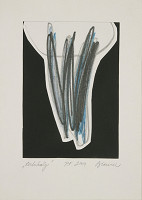 Rastislav Biarinec – PF 2004 / Verikály 