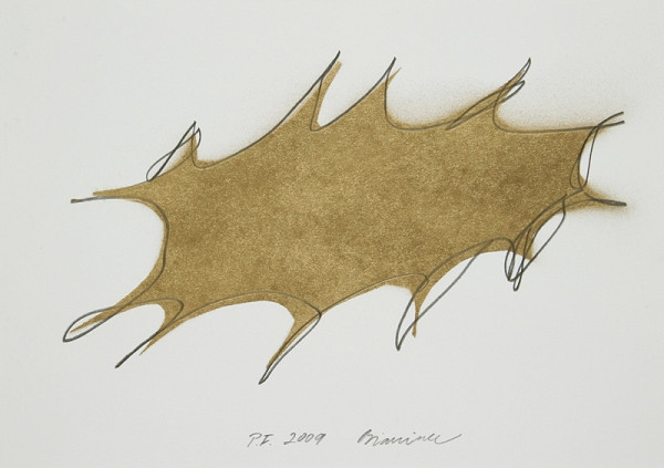 Rastislav Biarinec – PF 2009 