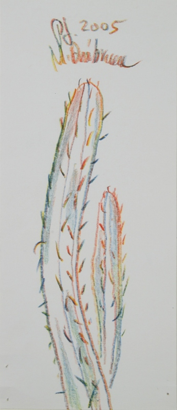 Marcel Dúbravec – PF 2005 