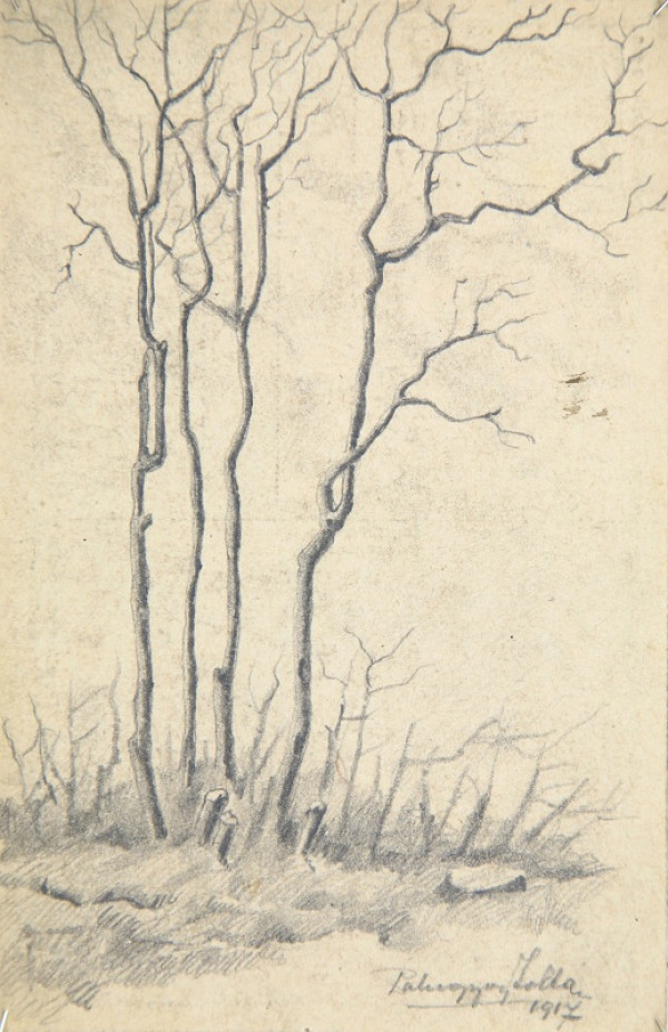 Zolo Palugyay – Štúdia stromov 