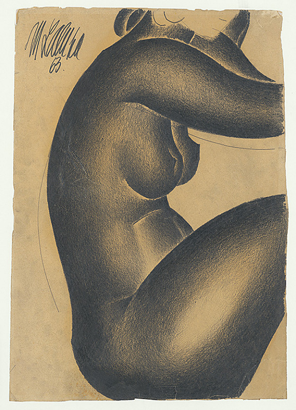 Milan Laluha – Akt 