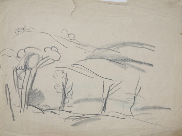 Eugen Nevan – Krajina V. 