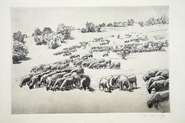 Viktor Hermély – Na paši 