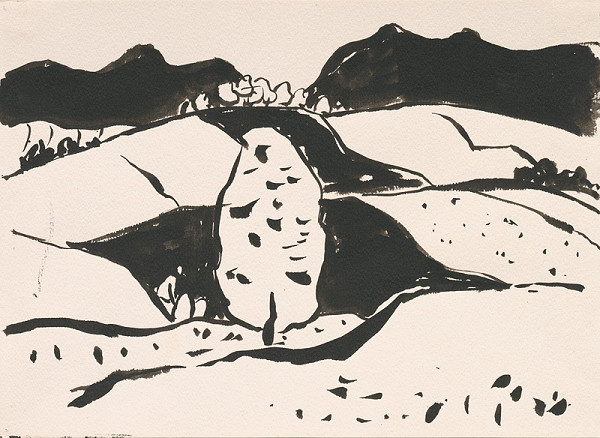 Viliam Chmel – Horské polia 