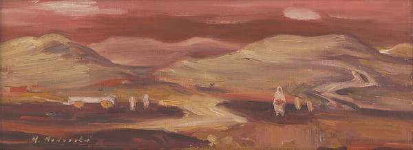 Mária Medvecká – Neobyčajný deň 