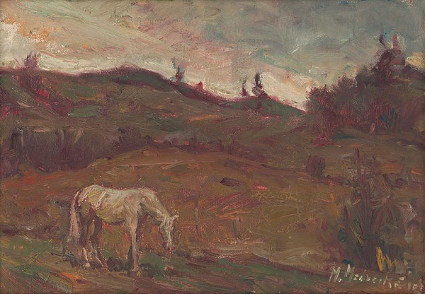 Mária Medvecká – Súmrak 