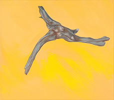 Laco Teren – Slnečný 