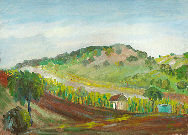 Matilda Čechová – Vinica v Hlohovci 