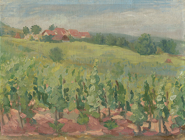 Matilda Čechová – Vinice 