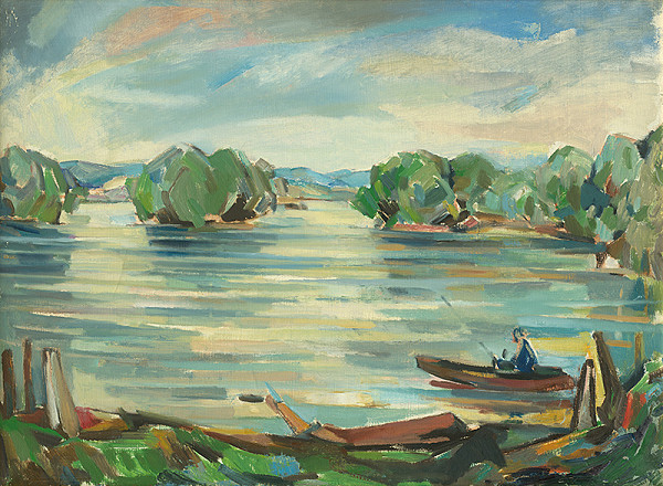 Štefan Cpin – Rozvodnený Dunaj 