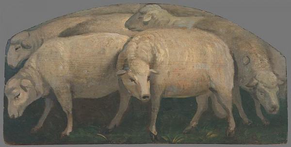 Maximilián Ratskay – Ovce 