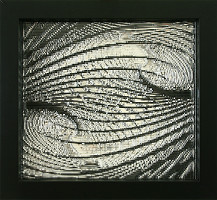 Ašot Haas – Morphic resonance 2 