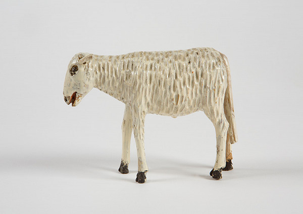 Neznámy autor – Ovca 