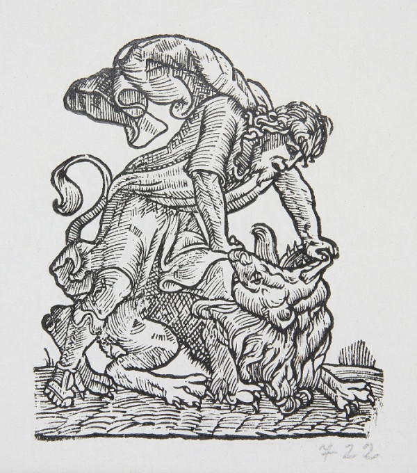 Neznámy autor – Samson 