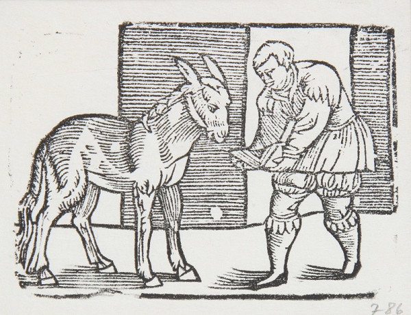 Neznámy autor – Historie XLIX - Ilustrácia k príhodám Tilla Eulenspiegla 