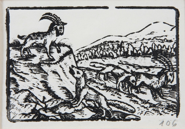 Neznámy autor – Vlk a kozorožec 