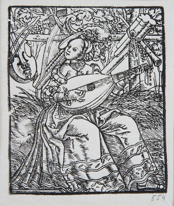 Neznámy autor – Dáma s lutnou 