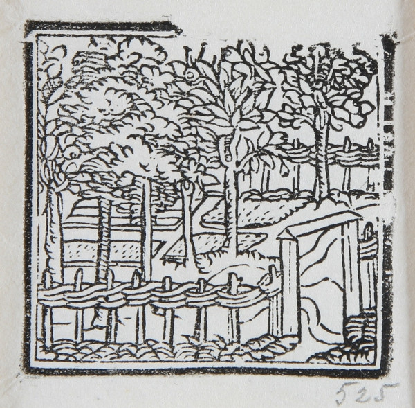 Neznámy autor – Záhrada 