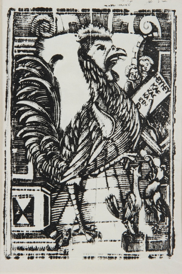 Neznámy autor – Kohút - Ilustrácia šľabikára 