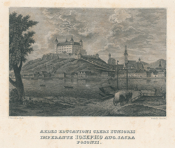 Joseph Sürch, Karl Schwindt – Pohľad na Bratislavu 