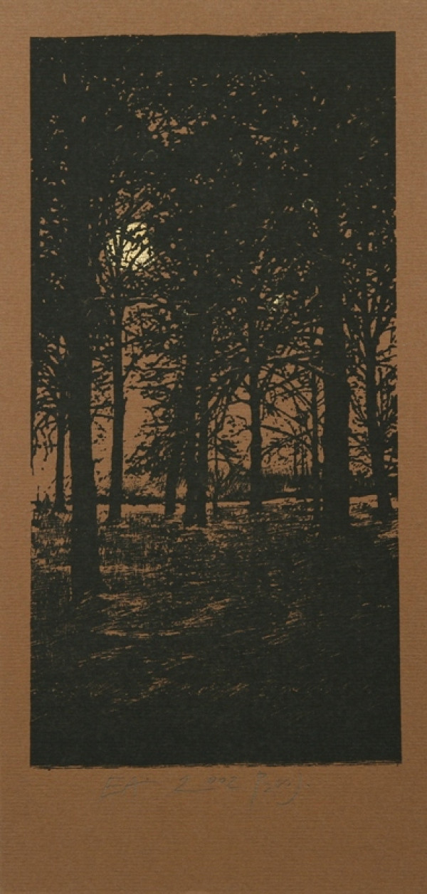 Branislav Jánoš – PF 2002 