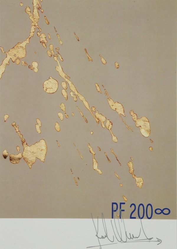 Karol Weisslechner – PF 2008 