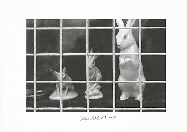 Jan Sekal – Bez názvu 