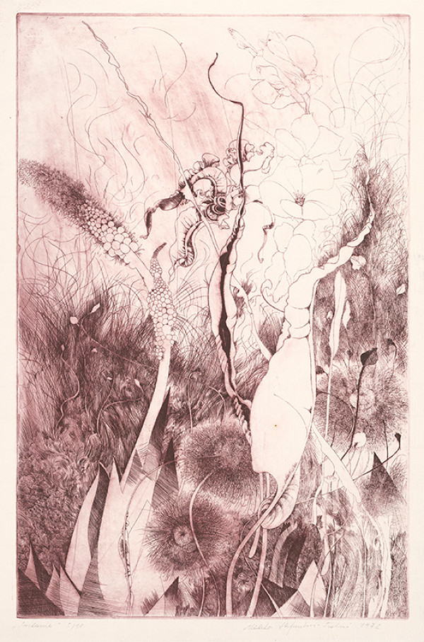 Alžbeta Štefunková-Szabová – Svitanie 