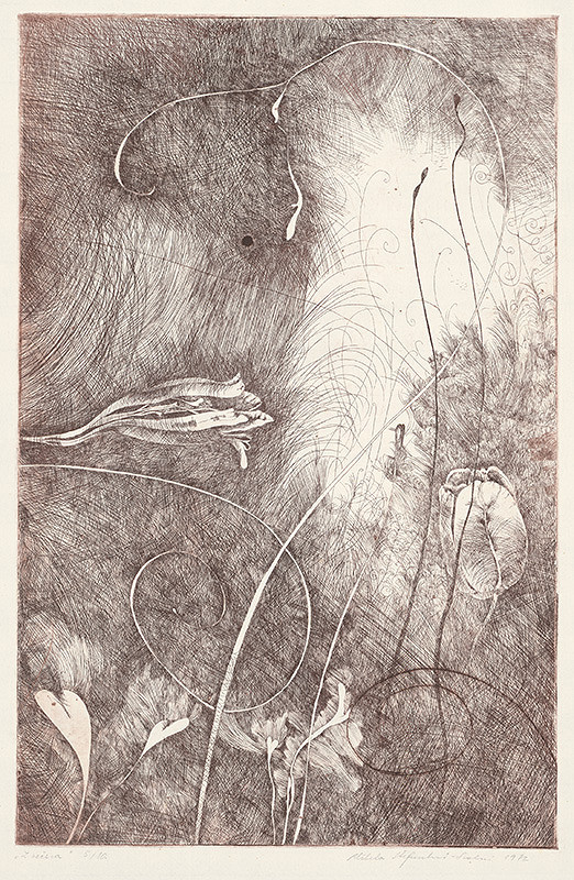 Alžbeta Štefunková-Szabová – Z večera 