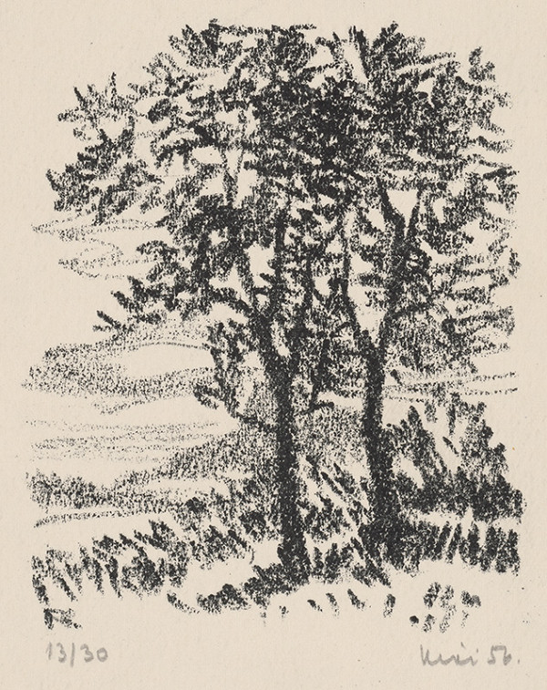 Fero Kráľ – Z Považia 