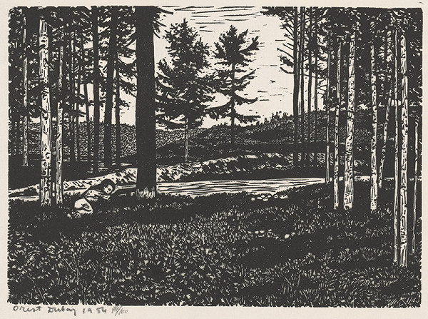 Orest Dubay – Na stráži 