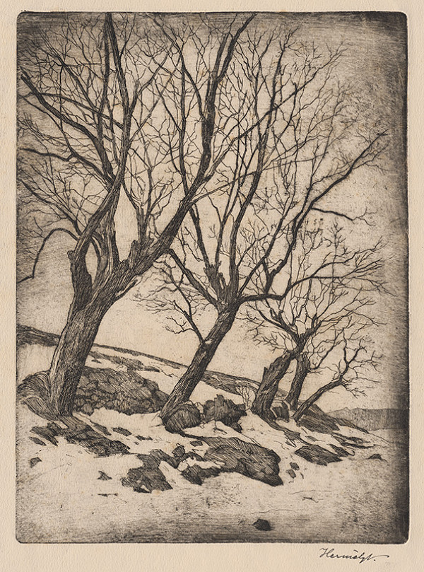 Viktor Hermély – Zimná nálada 