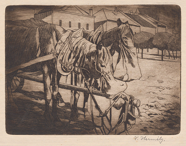 Viktor Hermély – Kone s obrokom 