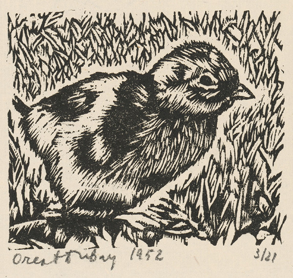 Orest Dubay – Mláďa 