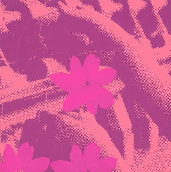 Peter Cibula – Číslo stroja 40 V.