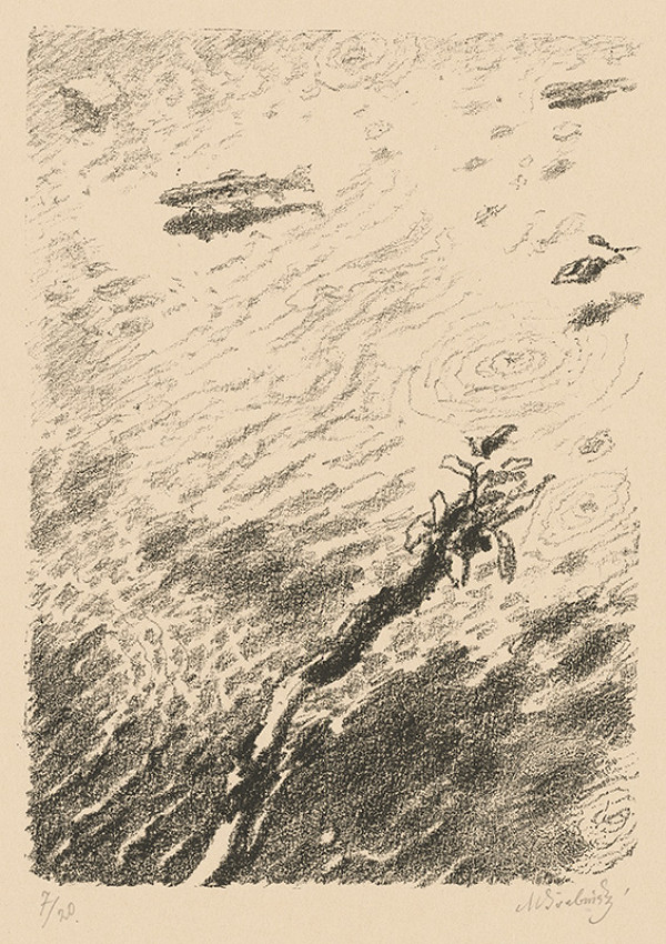 Max Švabinský – Pstruh 