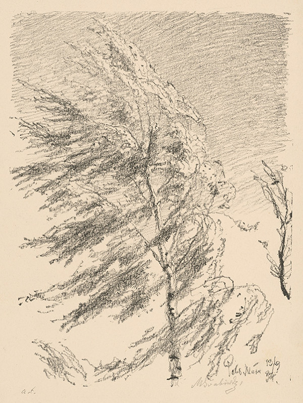 Max Švabinský – Breza vo vetre 