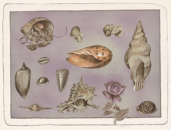 Anton Hollý – Ulita 