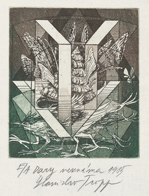 Stanislav Tropp – Dary neznáma 