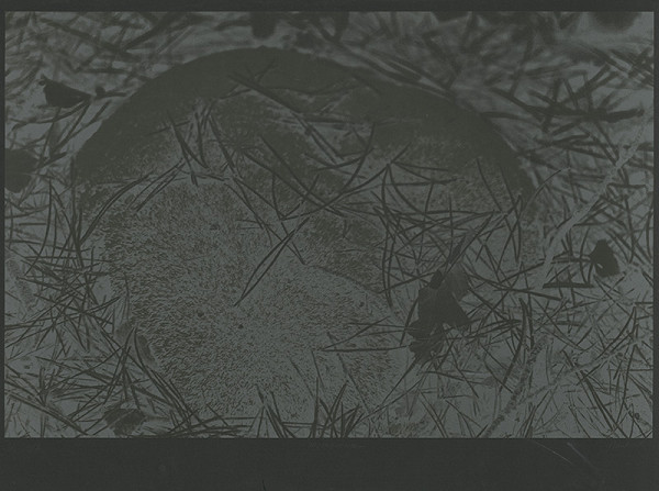 Marián Mudroch – Sústredenie 