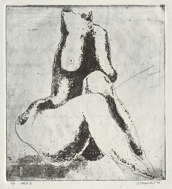 Dušan Zapletal – Akt II. 