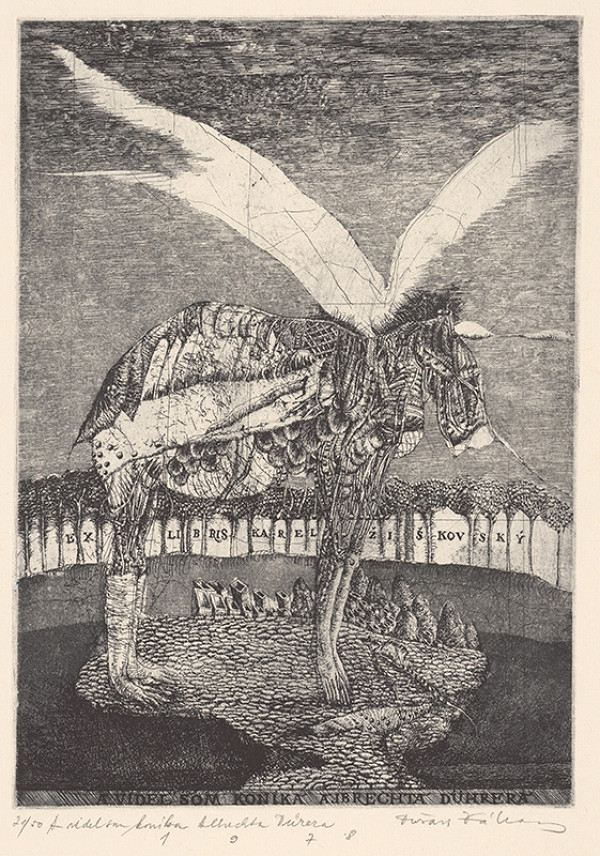 Dušan Kállay – A videl som koníka Albrechta Dürera 