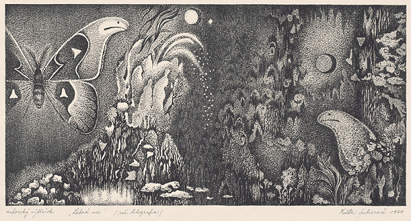 Kvetoslava Fulierová – Letná noc 